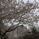 온천2동주민센터 버스정류장→충남대학교방향 | 대덕특구 순환전기버스 올레브(OLEV) 첫 시동