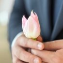 대전 웨딩 부케 추천 도안동 인희플라워아틀리에 후기
