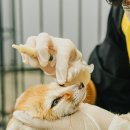 서울어린이대공원동물병원 이미지