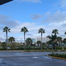 산호제일약국 | 89주 - 풀 여행 유니버셜/키웨스트/LA/조슈아 국립공원