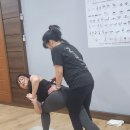 보령시 보건소 | 보령 아쉬탕가 요가 워크샵: 김양희 마스터가 전하는 ‘지면과의 대화, 정렬의 기술’