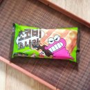 (주)초코사이버
