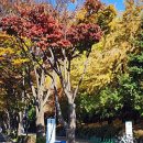 입동경로당 이미지