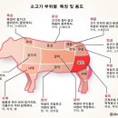 설도 - 유성구 온천로 26 | 설도