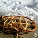 이행민박 이미지