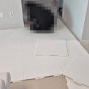 크림 하우스 | 크림하우스 매트 시공 후기｜로봇청소기 가능 여부까지 정리