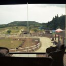 동부목장 이미지