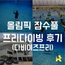 다비이즈프리 서울 프리다이빙 입문 강습 후기 PADI Lv1+2 후기