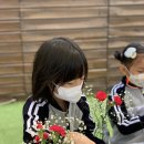 플럼트리 이미지