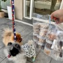 아피아피 apyapy 이미지