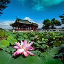 횡재가/청도 일주:온천호텔1박/운문사,청도읍성,유등연지,와인터널,프로방스,섶마리한옥마을,신화랑풍류...