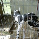 선규농장 이미지