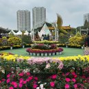 하나로마트(삼기) | 익산 당일치기 여행 코스 익산국화축제🌼 풍성제과 &amp; 하나로마트 생크림찹쌀떡 내돈내산 후기!