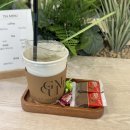 댕이맘마 | 분당 미용실 &#39;꾸밈 판교역점&#39;, 손상 적은 브라운 염색 후기! (수호 디자이너쌤)