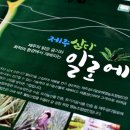 제주삼다알로에영농조합법인