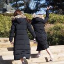 빛나리