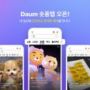 폼 이미지