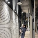 호텔도스 | 창원 애견동반 호텔 휴일도스테이 솔직후기