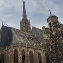 요한목장 이미지