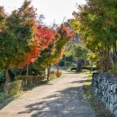 통영생태숲(입구) 이미지