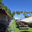 챠밍도그 이미지