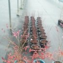 정금농장 이미지