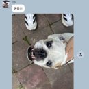 민상농장 네이버블로그