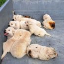 소리공인중개사사무소 이미지