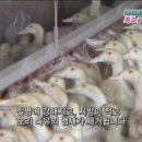 청림농장 이미지