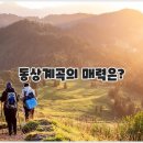오남매