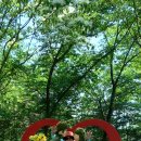 송죽 - 삼척시 진주로 12-21 | 송죽