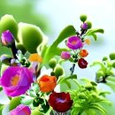 엄마밥상 이미지