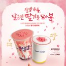 빽다방부산 이미지