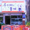 루이비똥 개 애견샵 이미지