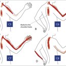 연희한방병원 이미지