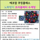 6.15(목)에코맘 쿠킹클래스(트리플베리 수제청)_오전10시30분_성인 대상 이미지