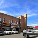 멍쌤 펫 살롱 이미지