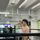 버팔로 복싱 이미지