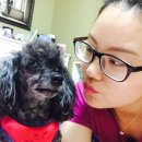 더누리개 이미지