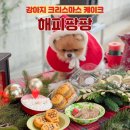 해피팡팡 | 강아지 크리스마스 케이크 해피팡팡 14500원 가성비 최고 급여 후기