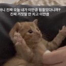 뽀뽑뽀 이미지