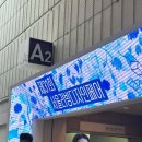 그린레코드 | 2026 서울리빙디자인페어 후기, 꼭 가야 할 부스 TOP 3 플랫포인트·빌라레코드·무제움