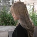 헤어로투스