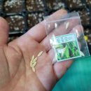 부윤농장 이미지