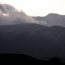 페이션츠 카카오 검색결과