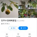 민주수경재배꽃집 이미지