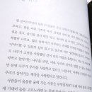 내마음의여행 이미지