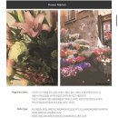 마루flower 이미지