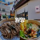 원앙 | 부산 전포 자가제면 우동 소바 맛집 원앙 내돈내산 후기
