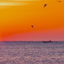 복이용원 이미지